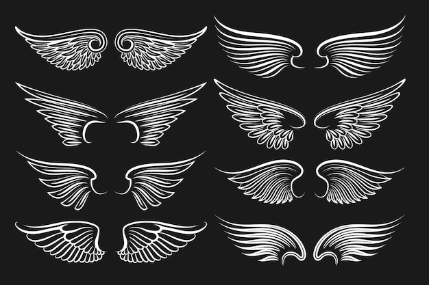 Wings black elements.  angels and birds wings. illustration of white wings