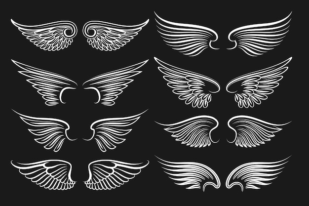 Крылья черные элементы. ангелы и крылья птиц. Иллюстрация белых крыльев