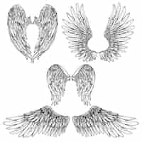 Vettore gratuito wings sketch set