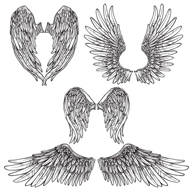 Wings Sketch Set