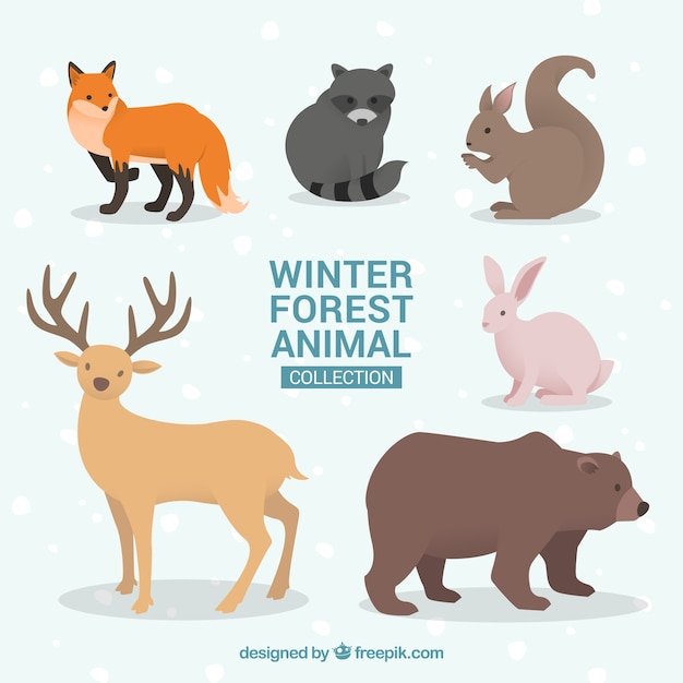 無料ベクター フラットデザインの冬の動物コレクション