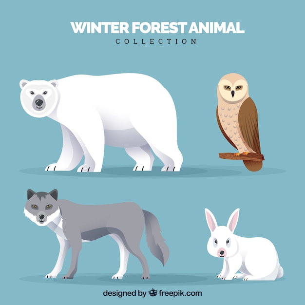 Бесплатное векторное изображение Коллекция зимних животных