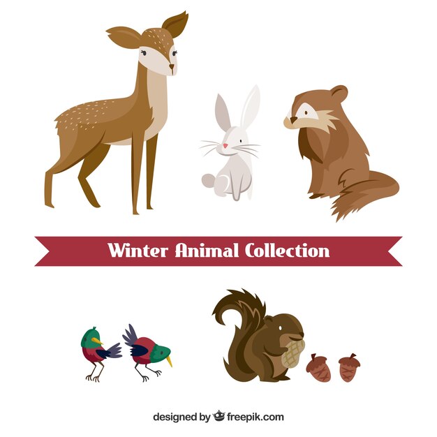 Winter animal set in flat design