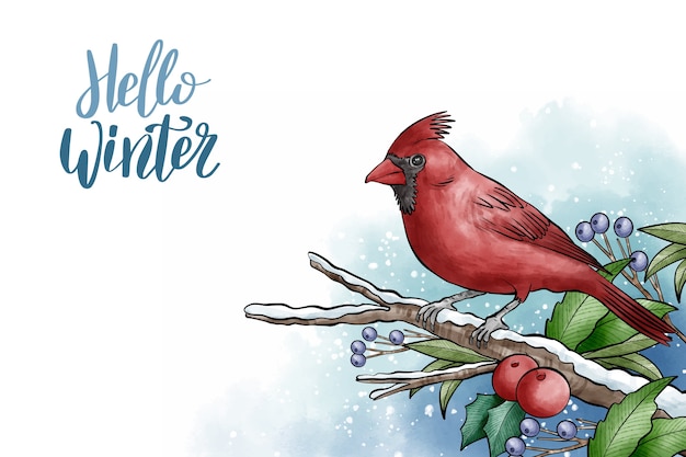 Winter background with cute bird