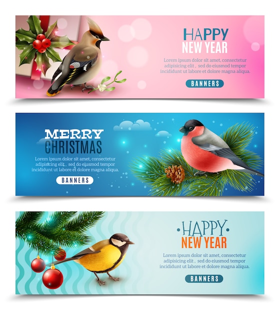 Winter Birds Horizontal Banners