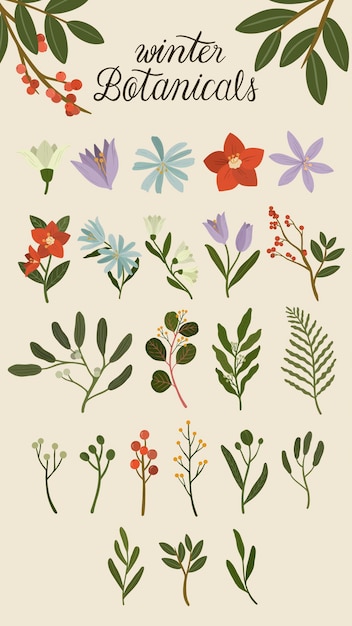 Free vector winter botanicals on a beige phone background illustration