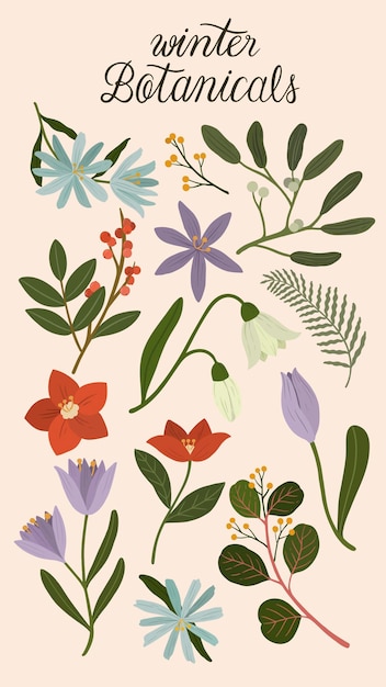 Winter botanicals on a creamy phone background