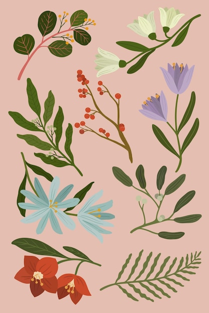 Winter botanicals on a pink background vector