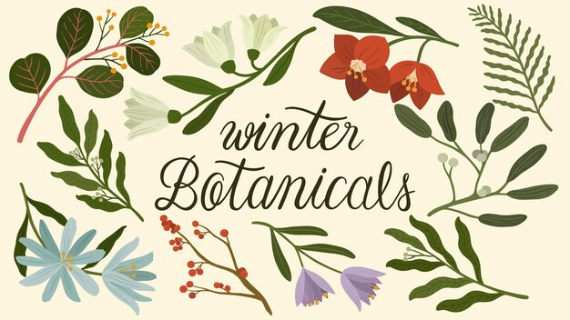 冬の植物の壁紙イラスト