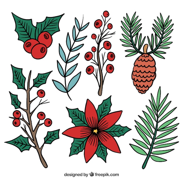 Бесплатное векторное изображение Зимняя коллекция цветов, листьев, конусов, ягод