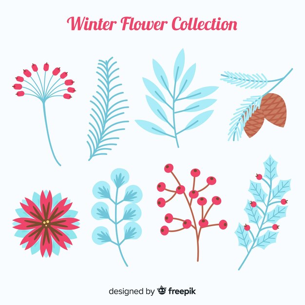 冬の花の美しいコレクション