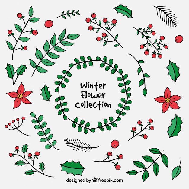 Winter flower collection in red and green