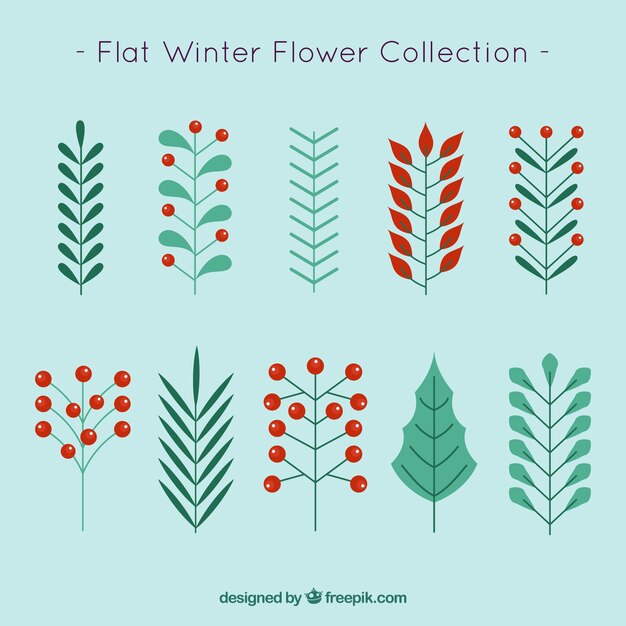 Коллекция зимних цветов на бирюзовом фоне