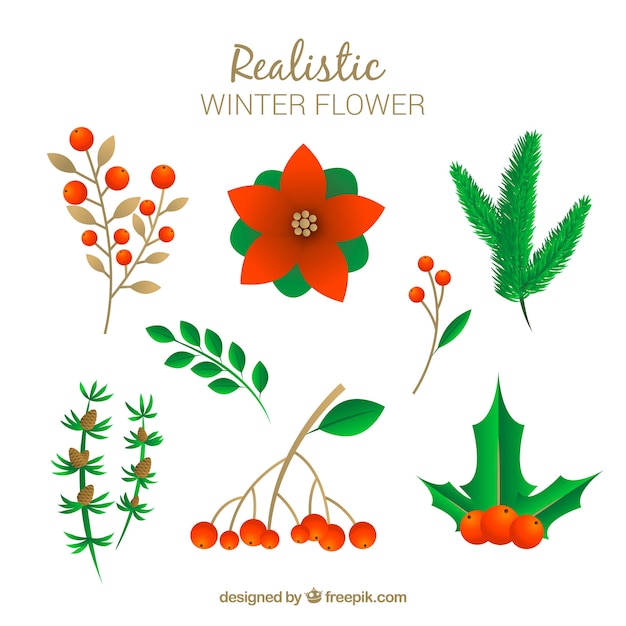 Winter flower collection