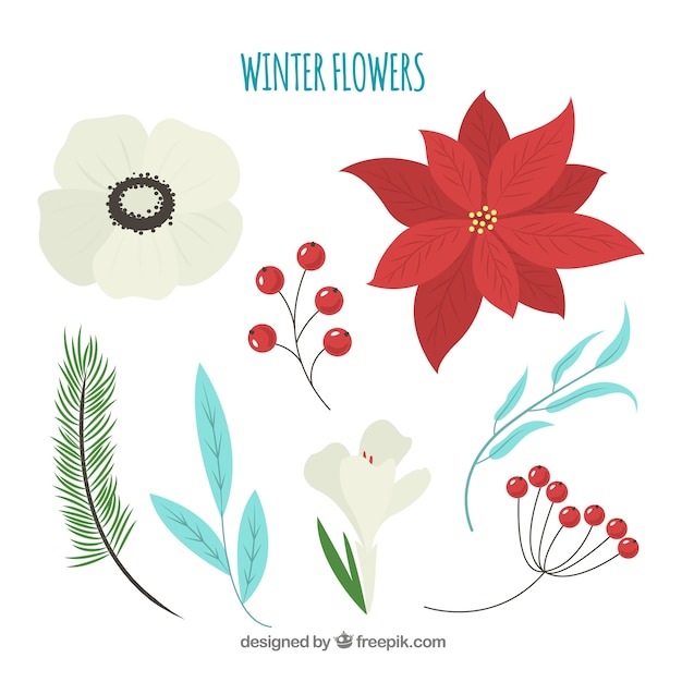 Free vector winter flower collection