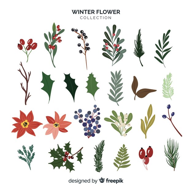 Winter flower collection