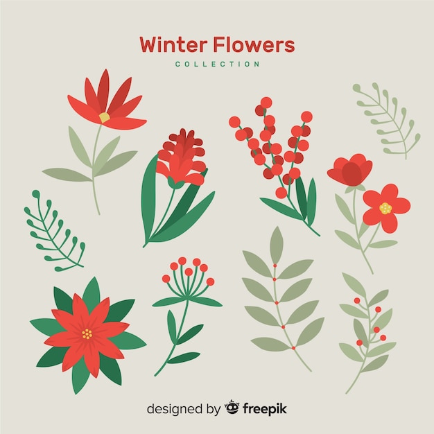 Free vector winter flower collection