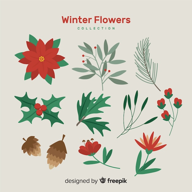 Winter flower collection