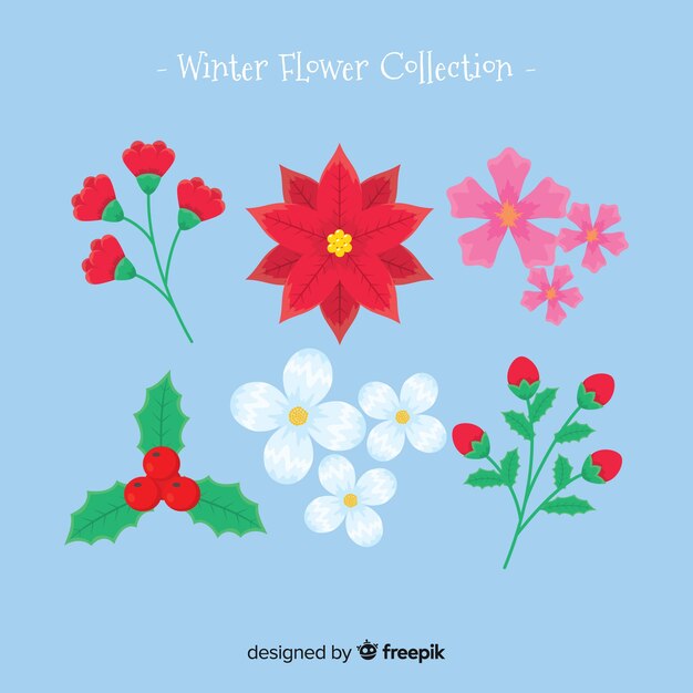 Коллекция зимних цветов