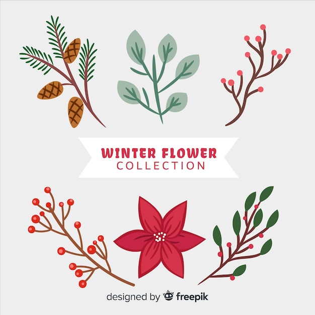 Winter flower collection