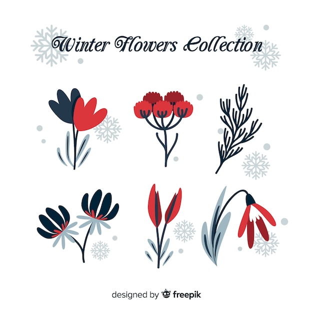 Winter flower collection