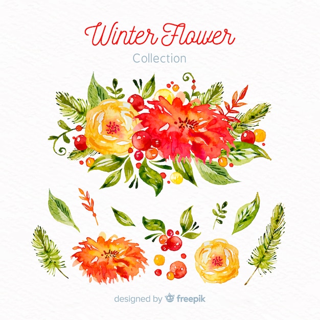 Free vector winter flower collection