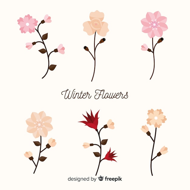 Free vector winter flower collection