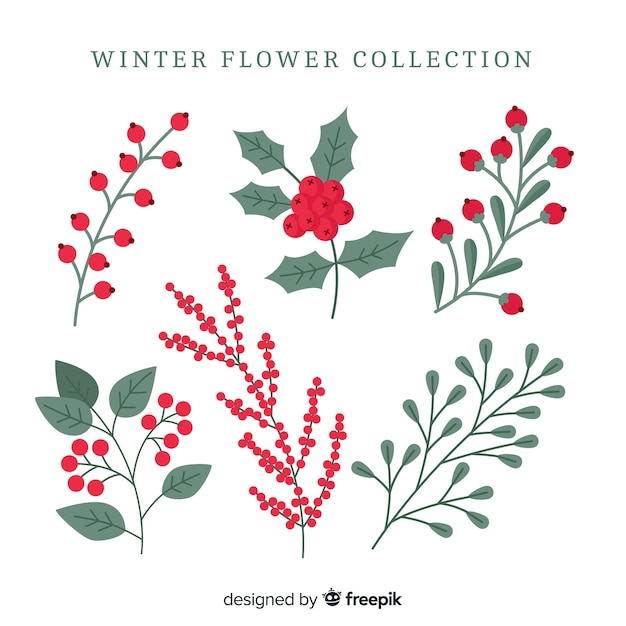 Бесплатное векторное изображение Коллекция зимних цветов
