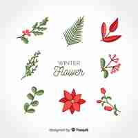 Free vector winter flower collection