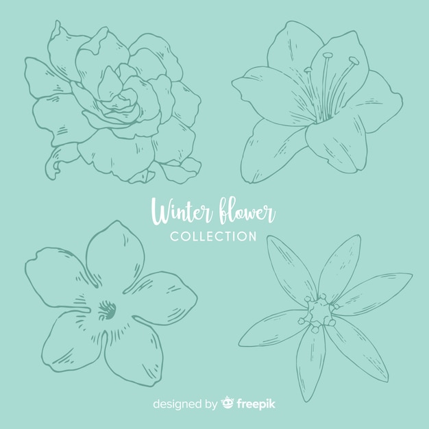 Free vector winter flower collection