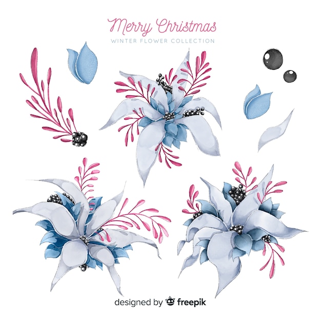 Free vector winter flower collection