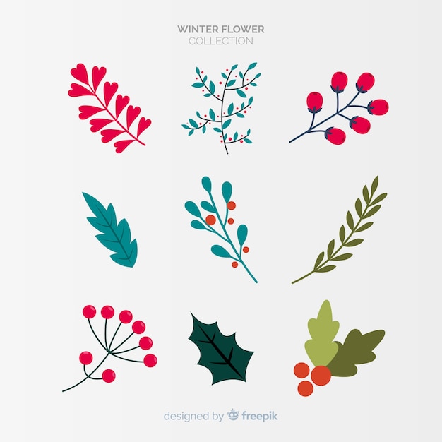 Christmas holly berries Vectors & Illustrations for Free Download