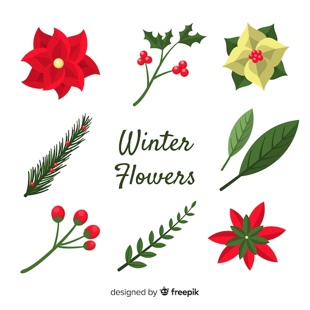 Winter flowers collection