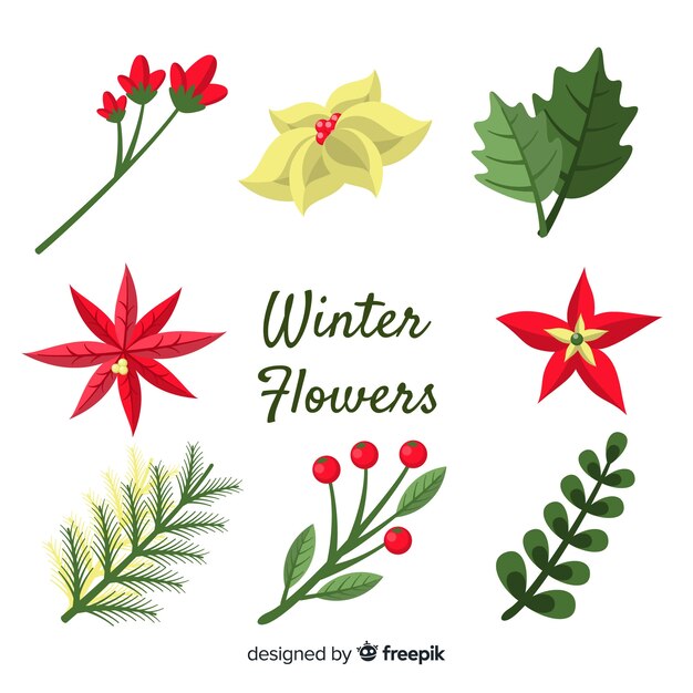 Free vector winter flowers collection