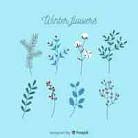 Free vector winter flowers collection