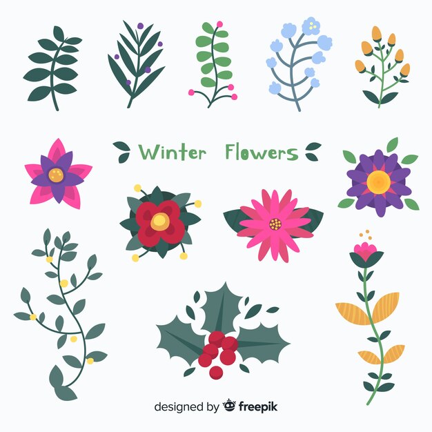 Winter flowers collection