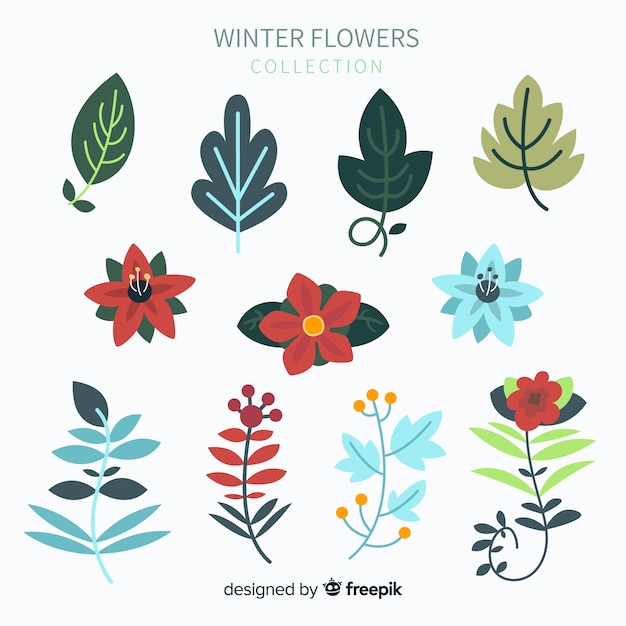 Winter flowers collection