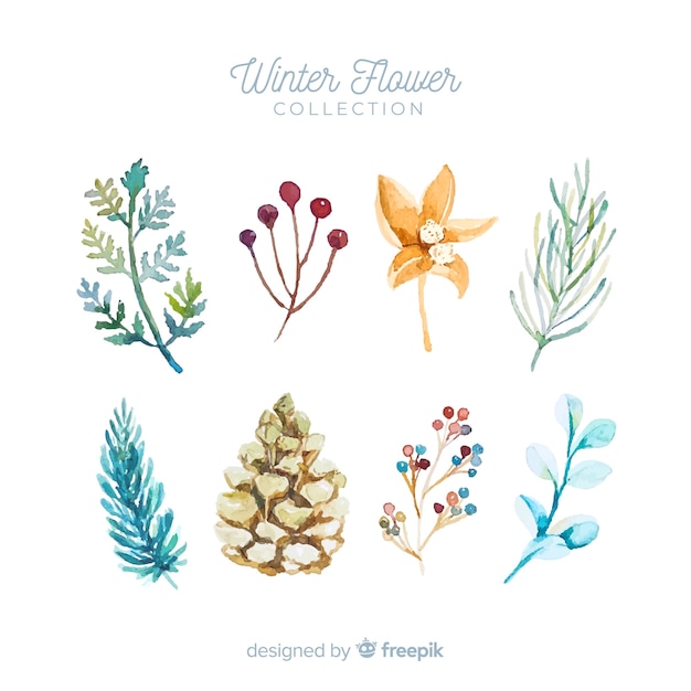 Winter flowers collection