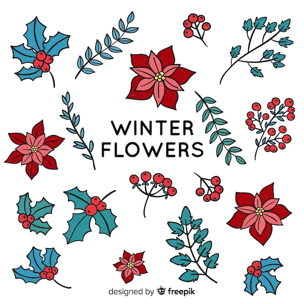 Free vector winter flowers collection