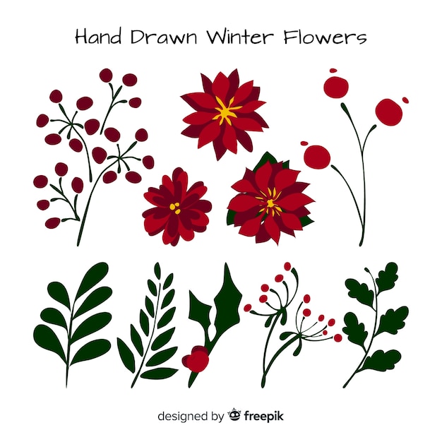 Free vector winter flowers collection