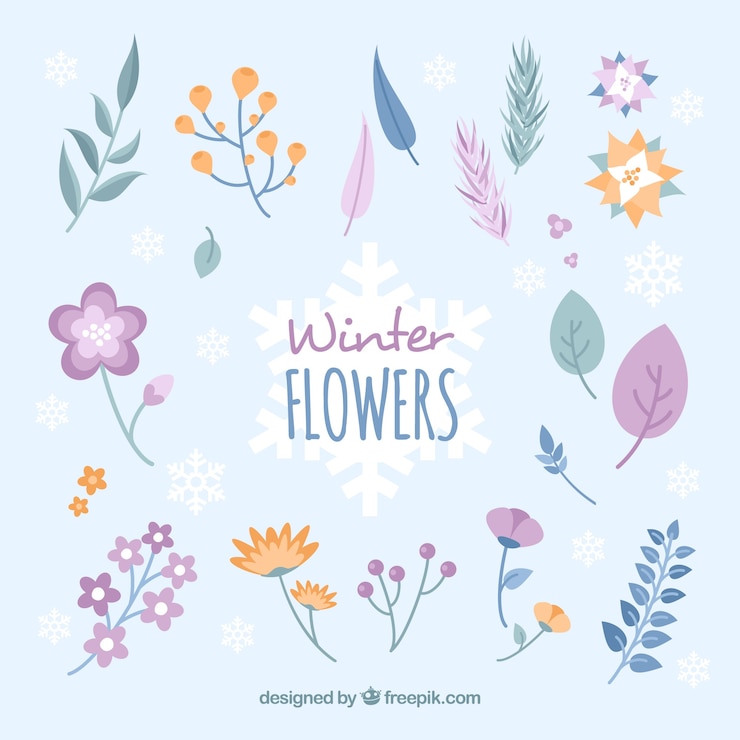 Free Vector winter flowers in pastel colours