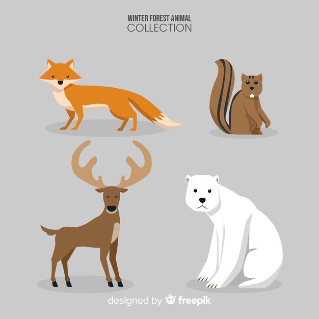 Winter forest animal collection