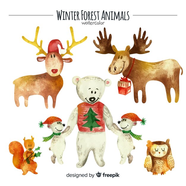 Winter forest animal collection