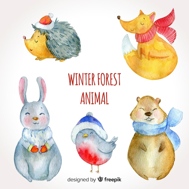 Winter forest animal collection