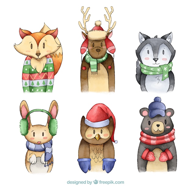 Free vector winter forest animal