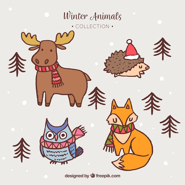 Winter forest animal