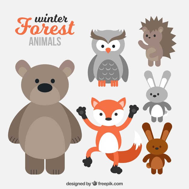 Winter forest animals collection