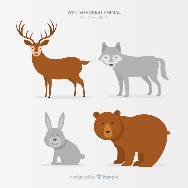 Winter forest animals collection