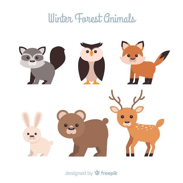 Winter forest animals collection