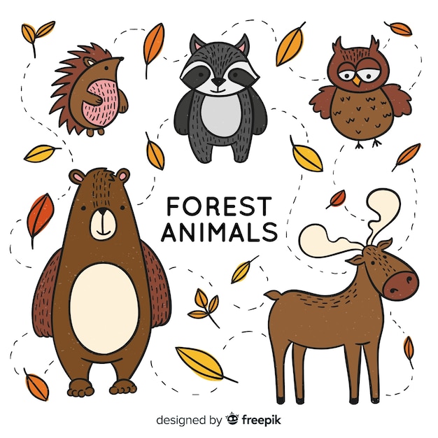 Winter forest animals collection